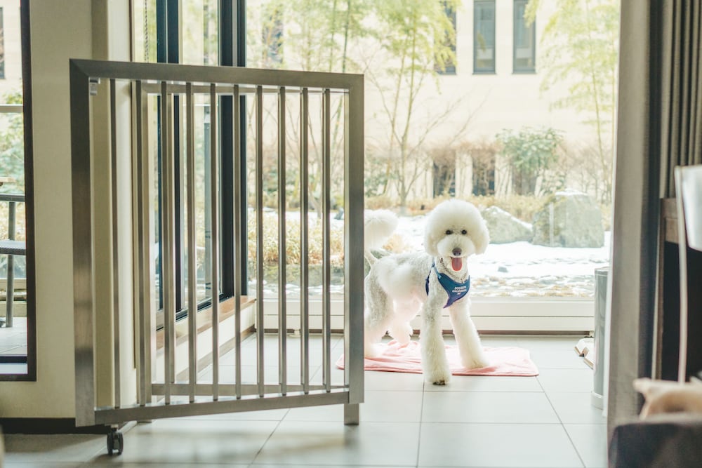 Deluxe Room, 2 Twin Beds (Dog Friendly) - Photo 8