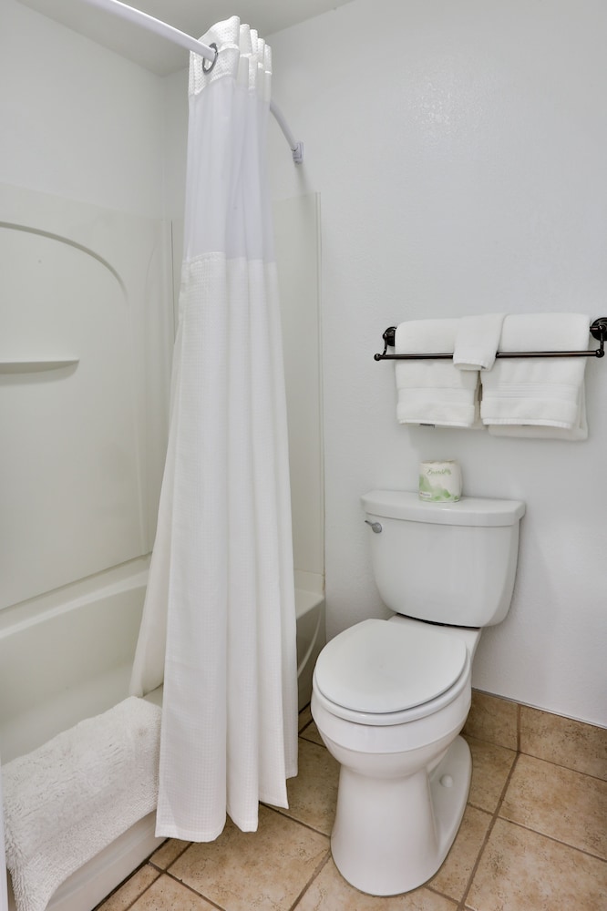 Economy Single Room photo 3