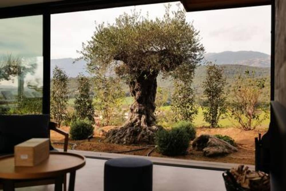 Villa Wooden Horizon - Mer Montagne 18 Pers, Billede 53