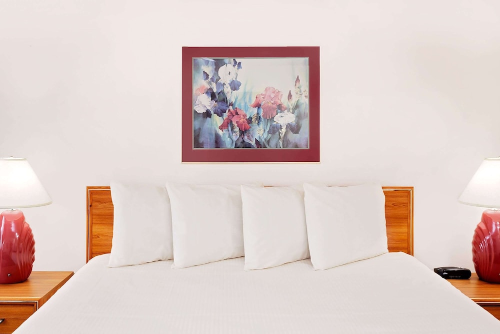 Suite, 1 King Bed - Photo 1