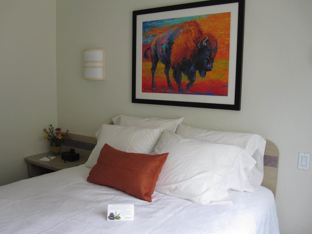 Standard Room, 1 King Bed photo 1