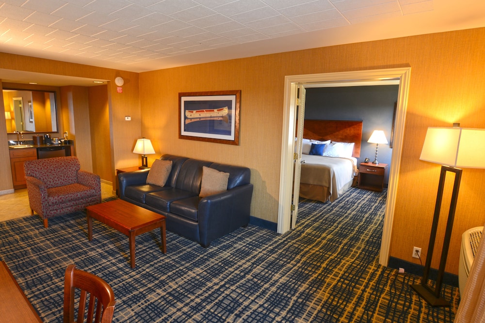 Premium Suite, 1 King Bed with Sofa bed, Non Smoking photo 1