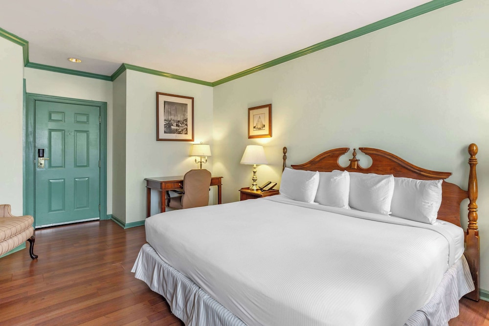 1 King Bed, City View photo 3
