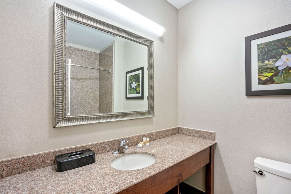 Suite, 1 King Bed - Photo 4