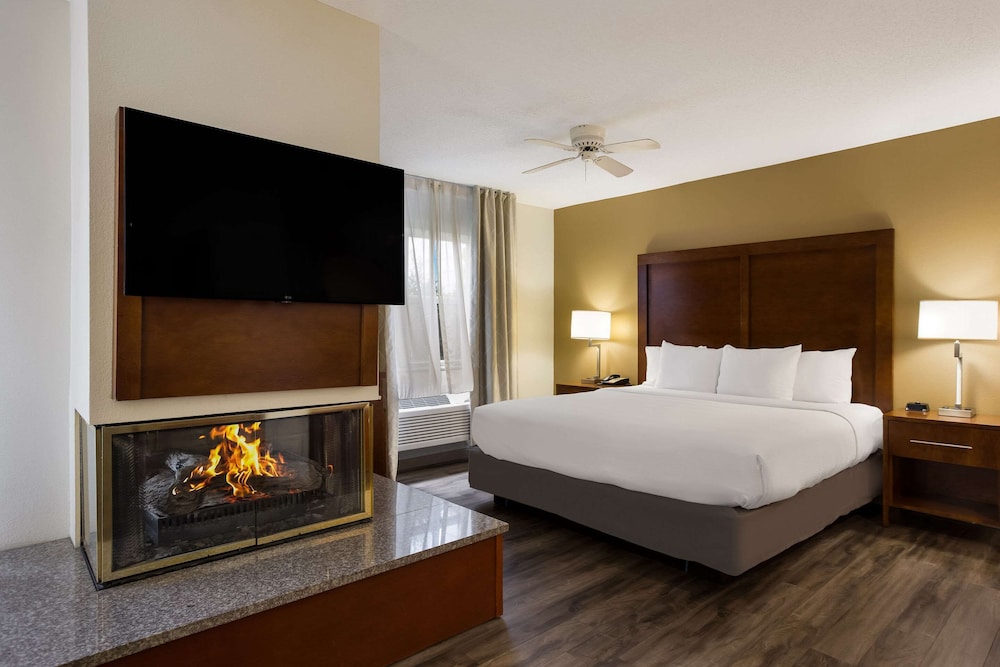 Suite, 1 King Bed with Sofa bed, Non Smoking
