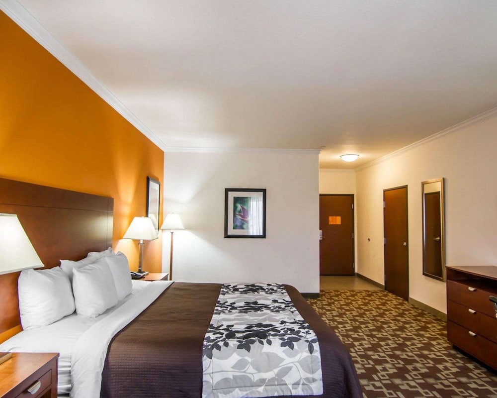 Standard Room, 1 King Bed, Non Smoking - Photo 3