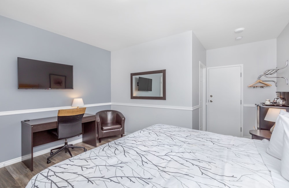 Premium Single Room, 1 King Bed, Accessible, Pool View