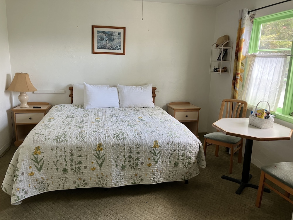 Standard Single Room, 1 King Bed - Photo 8
