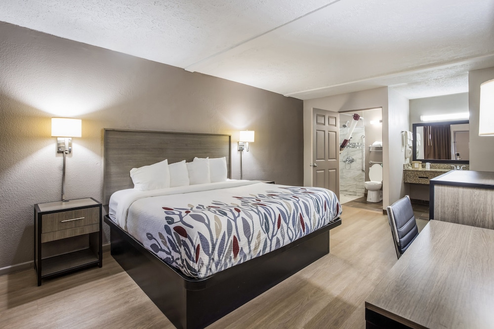 Deluxe Room, 1 King Bed, Accessible, Non Smoking (Roll-In Shower) - Photo 3