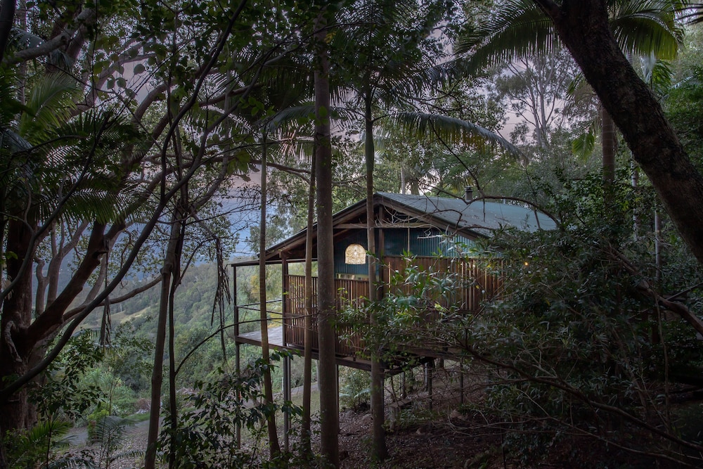 1 Bedroom Treehouse photo 3