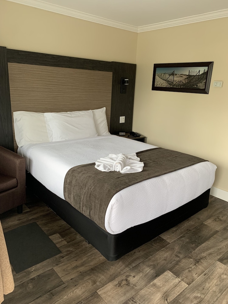 Room, 1 Queen Bed photo 3