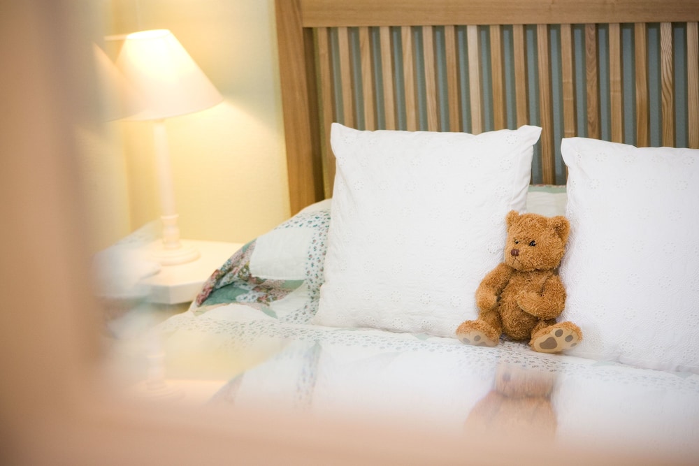 Traditional Double Room, 1 Double Bed, Mountain View (Room 3) photo 2