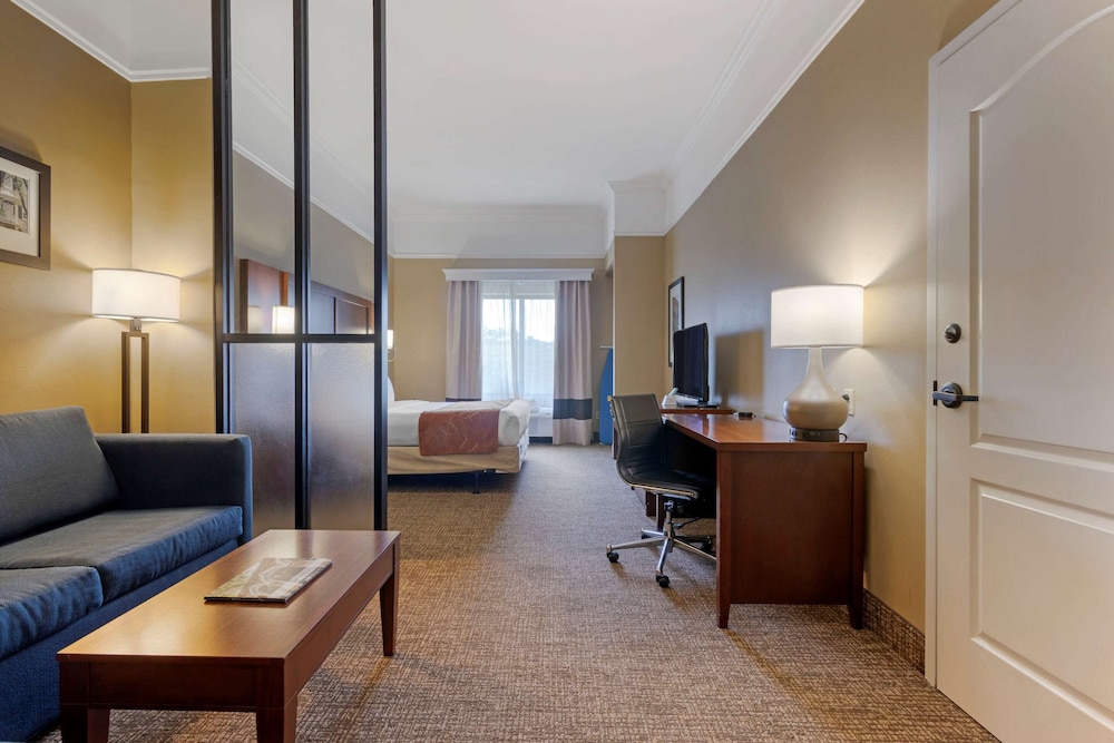 Suite, 1 King Bed with Sofa bed, Accessible, Non Smoking - Photo 1