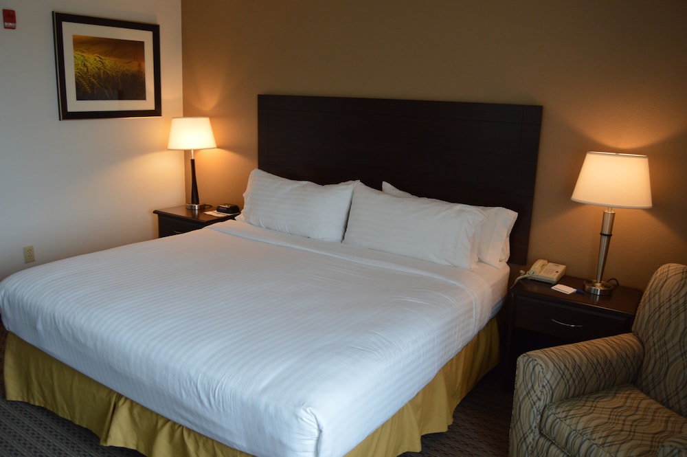 Standard Room, 1 King Bed, Accessible (Communications, Mobility, Access Tub) - Photo 2