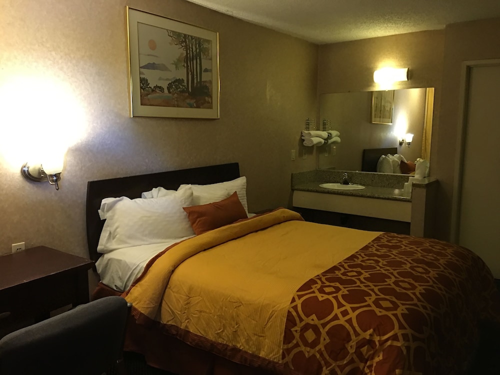 Room, 1 Queen Bed