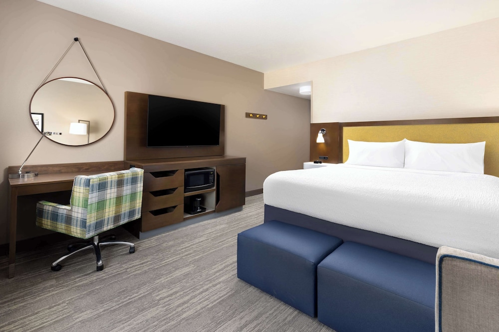 Room, 1 King Bed, Accessible (Roll-In Shower) - Photo 3