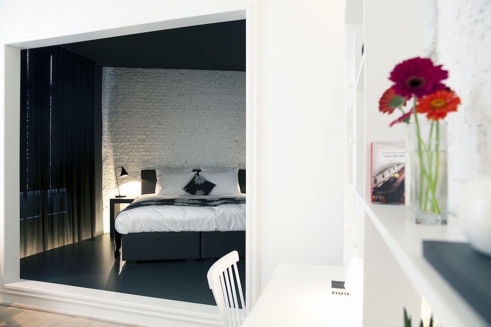 Superior Suite photo 1