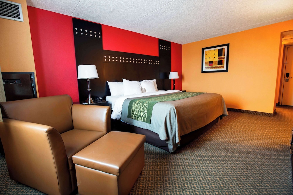 Room, 1 King Bed, Non Smoking - Photo 1