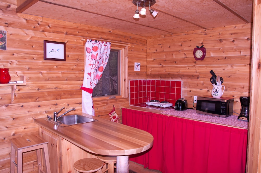 Cabane dans Les arbres le colibri photo 2