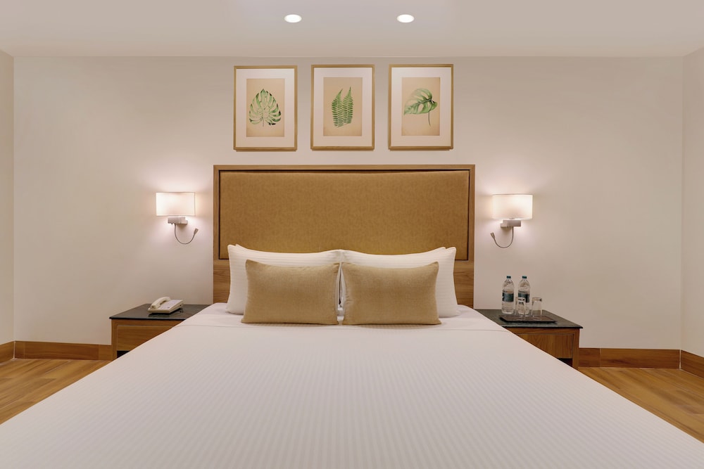 Deluxe Suite - Photo 6