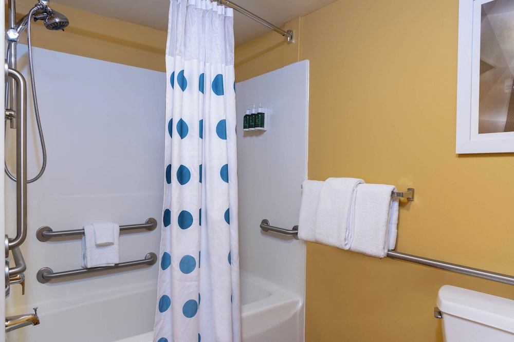 Studio, 1 Queen Bed with Sofa bed (Mobility Accessible, Roll-in Shower) - Photo 5