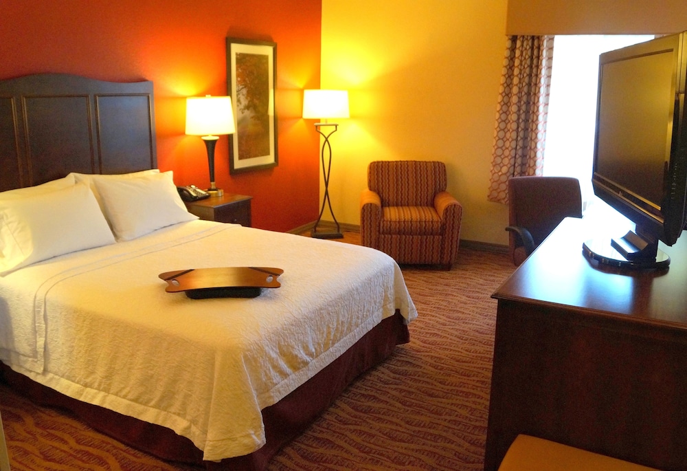 Suite, 1 King Bed, Non Smoking - Photo 1