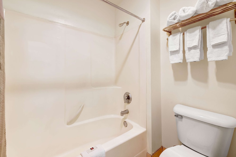 Standard Room, 1 King Bed, Non Smoking - Photo 4