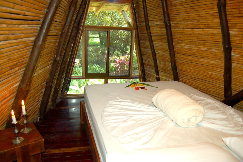 Habitación Doble Estándar, 1 Cama Doble