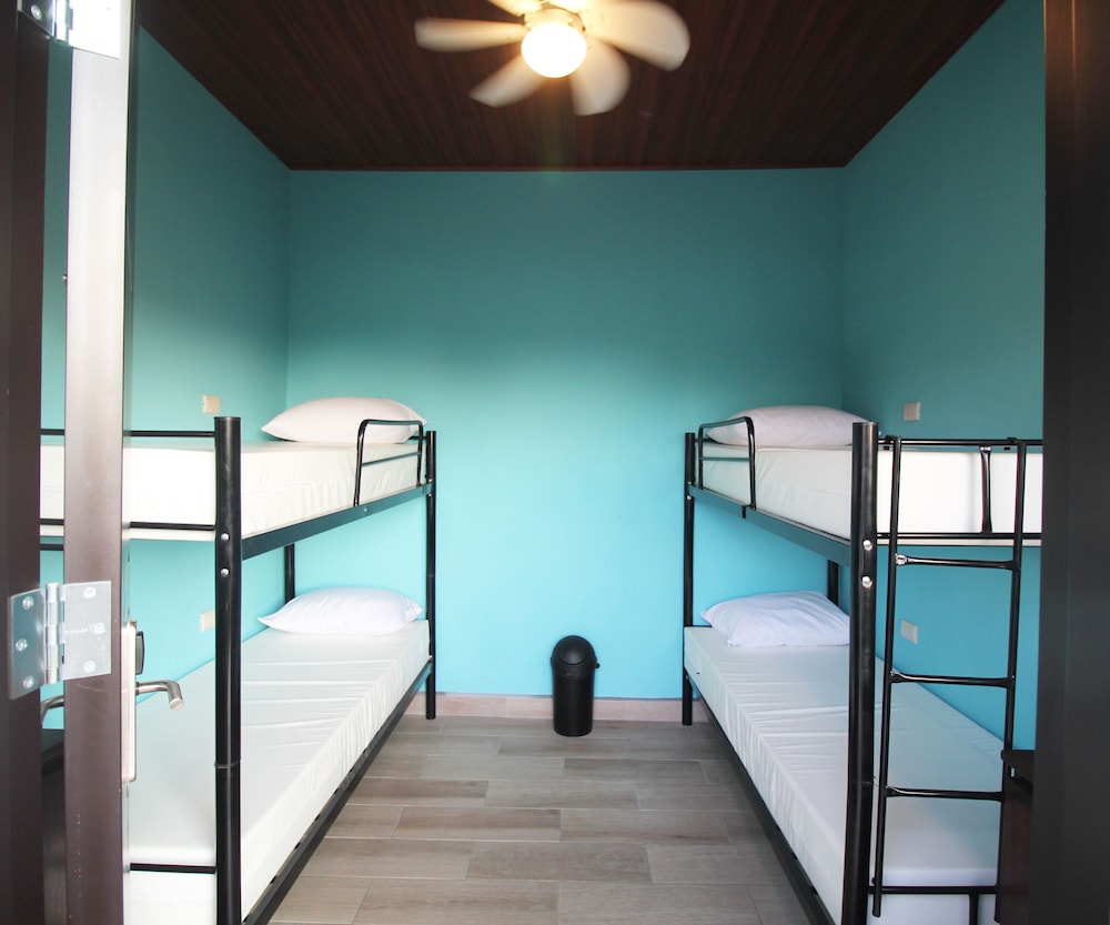 Basic Quadruple Room, Mixed Dorm, Shared Bathroom