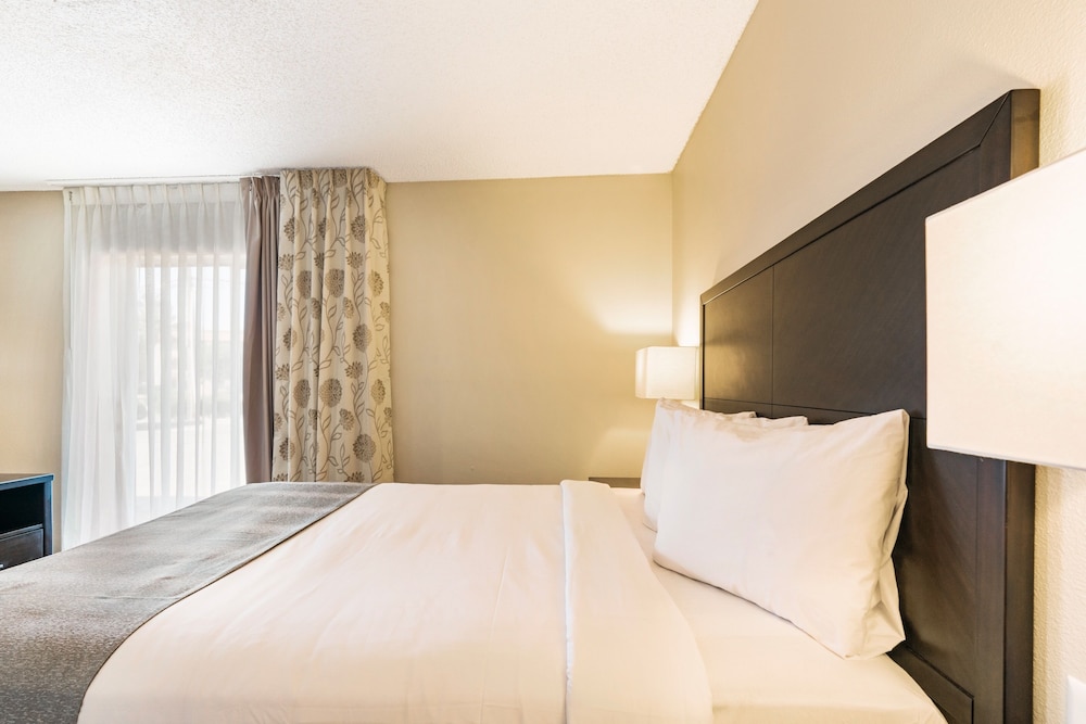 Signature Room, 1 Queen Bed - Photo 4
