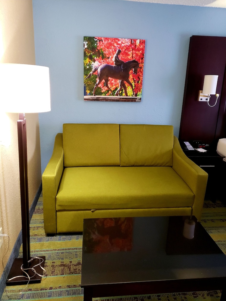 Standard Room, 1 King Bed with Sofa bed, Non Smoking - Photo 16