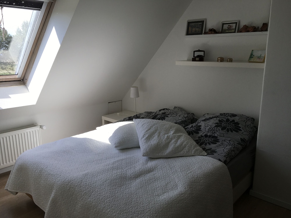 Basic Apartment photo 1