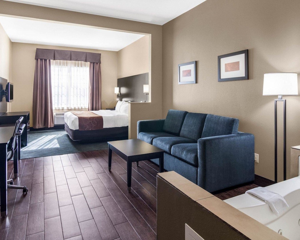 Suite, 1 King Bed - Photo 12