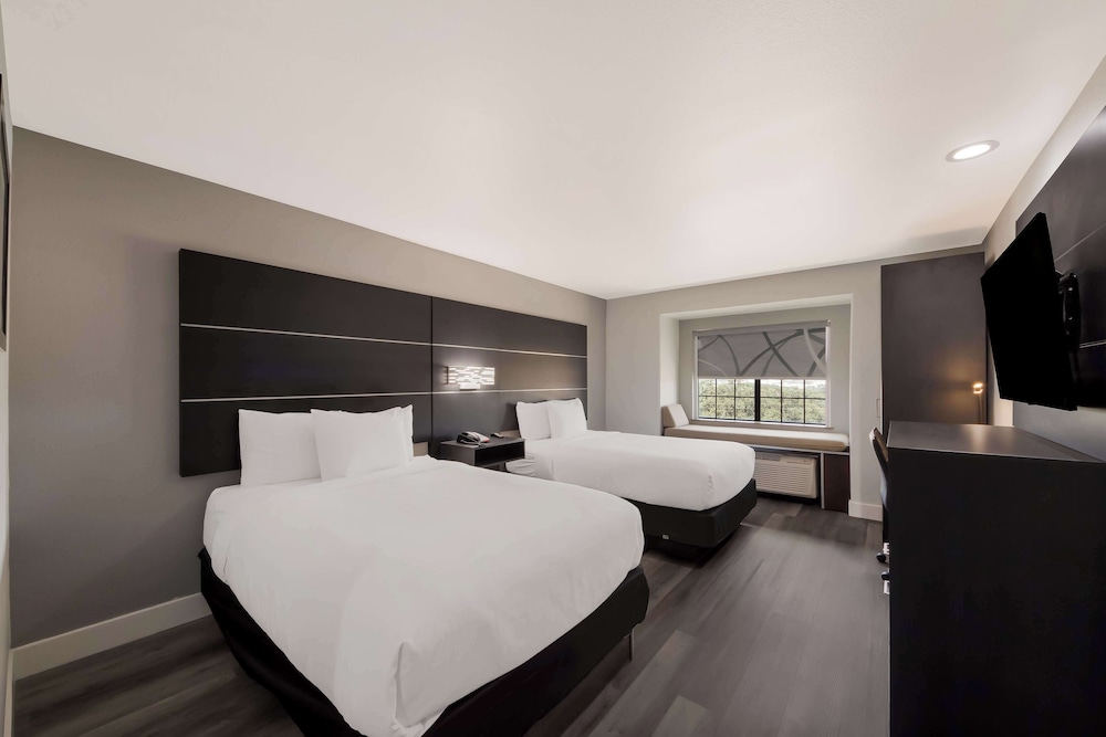 Standard Room, 2 Double Beds, Accessible, Refrigerator & Microwave - Photo 1