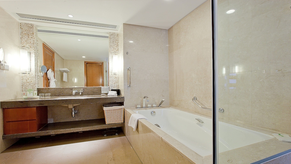 Suite, 1 Bedroom, Kitchen (Living Dining Meeting) photo 1