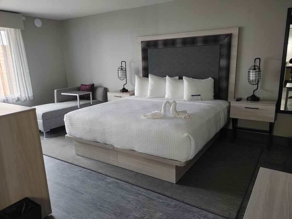 Suite, 1 King Bed, Non Smoking, Kitchenette (Living Room;Shower Only;with Sofabed) - Photo 1