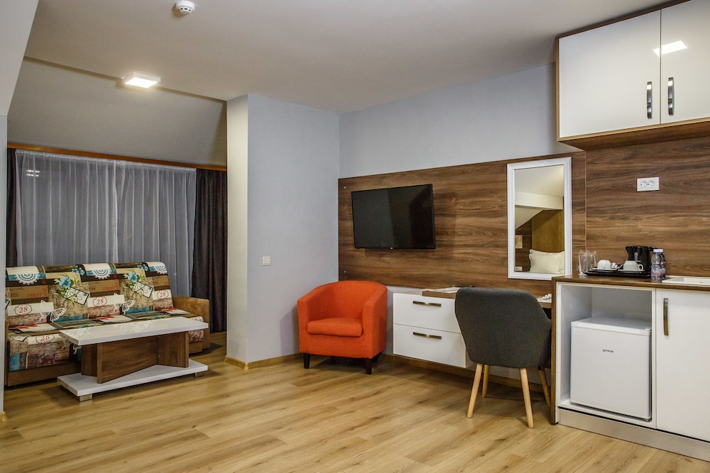 Deluxe Studio, 1 Queen Bed photo 1