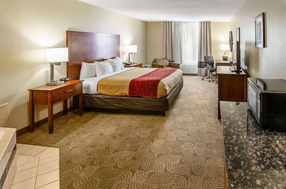Suite, 1 King Bed with Sofa bed, Non Smoking (1 Room Suite, No Smkng/Interior Hall) - Photo 1