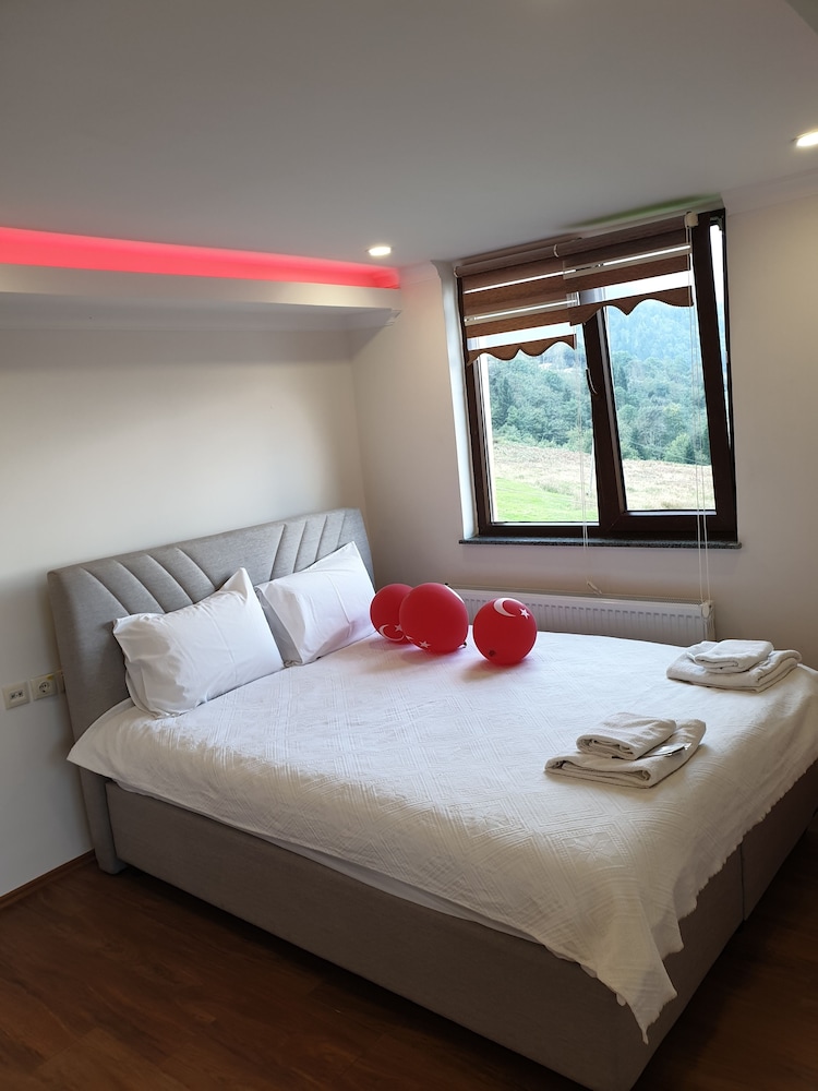 Standard Double or Twin Room, Mountain View photo 2