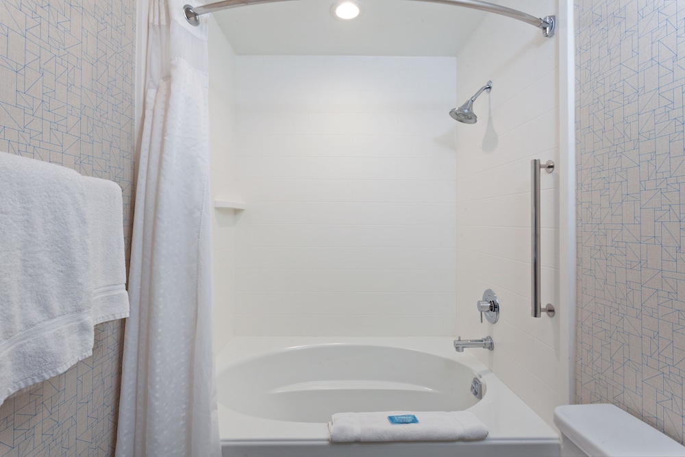 Suite, 1 King Bed, Accessible (Roll-In Shower)