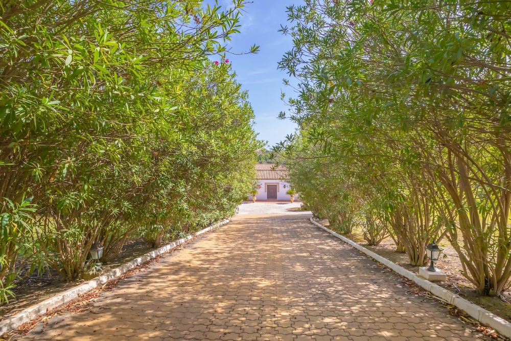 Cortijo Villa Padierna Søen, Billede 30