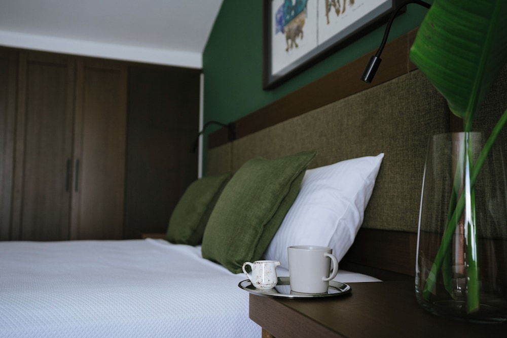 Deluxe Room - Photo 4