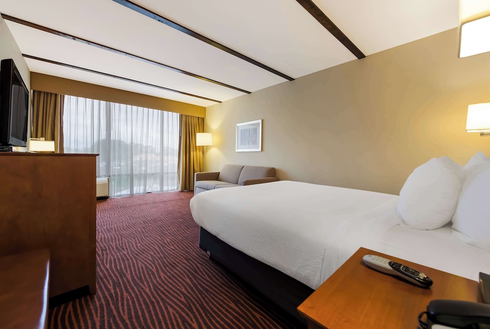 Standard Room, 1 Queen Bed, Non Smoking, Refrigerator & Microwave (with Sofabed) - Photo 2