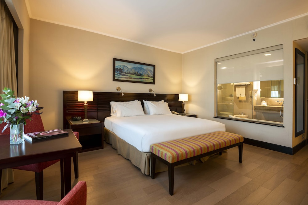 Deluxe Room, 1 Queen Bed photo 2
