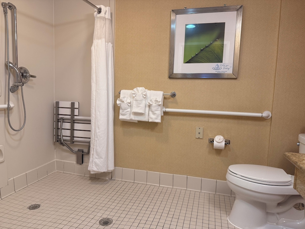 Deluxe Double or Twin Room photo 2