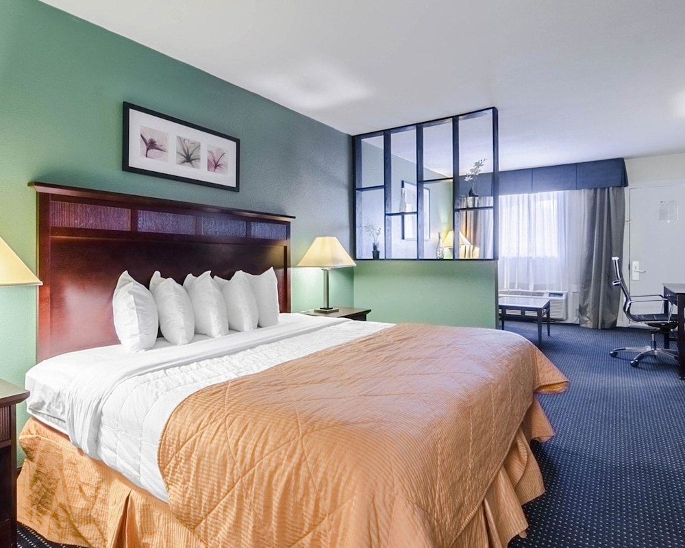 Signature Suite, 1 King Bed, Non Smoking, Poolside photo 1