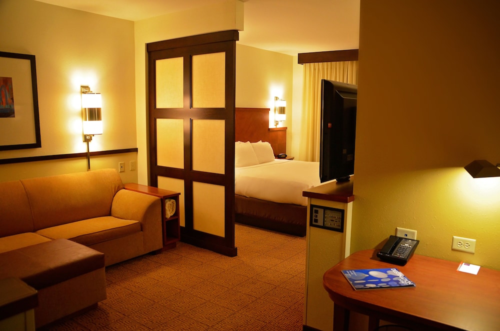 Room, 1 King Bed, Accessible Bathtub