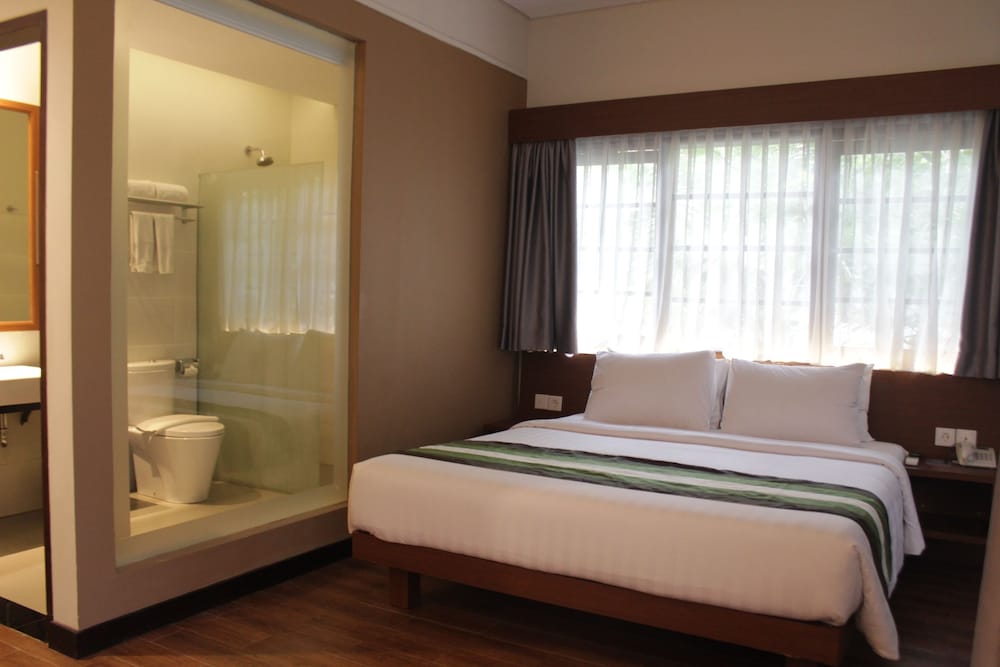 Deluxe Double Room photo 2