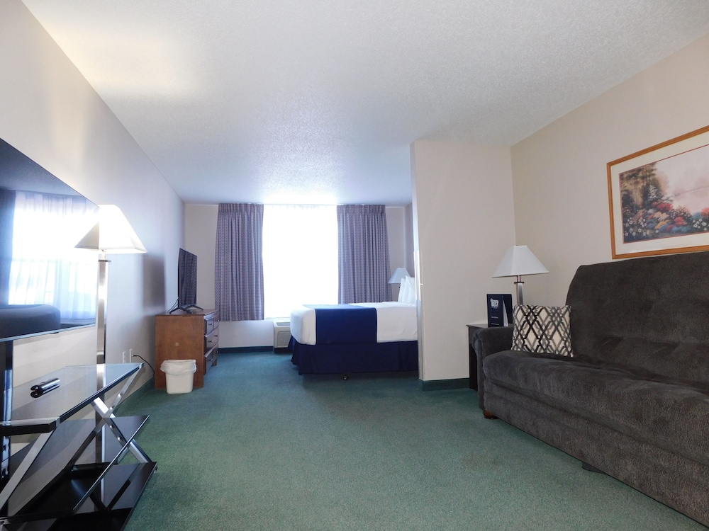 Single King Bed-Suite With pull out sofa - Non-Smoking photo 1