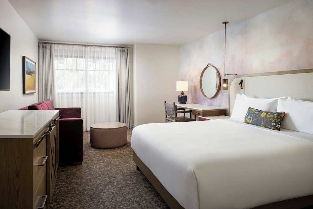 Suite, 1 King Bed with Sofa bed